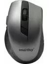 Компьютерная мышь SmartBuy One SBM-602AG-GK icon