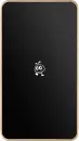 Внешний накопитель SmartBuy P5 Pro SBD256P5CU3C 256GB (золотистый) icon