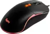 Игровая мышь SmartBuy Rush X22 SBM-752G-K фото 3