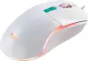 Игровая мышь SmartBuy Rush X22 SBM-752G-W фото 10