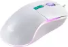 Игровая мышь SmartBuy Rush X22 SBM-752G-W фото 7