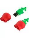 USB-флэш накопитель SmartBuy Wild Series Rose 32GB (SB32GBRose) icon 2