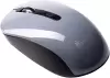 Мышь SmartBuy X58 SBM758DC фото 2