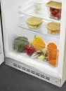 Однокамерный холодильник Smeg FAB10LCR5 фото 3