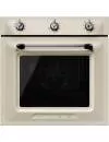 Духовой шкаф Smeg SF6905P1 icon