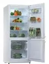 Холодильник Snaige RF27SM-P100223 фото 2