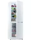 Холодильник Snaige RF31SM-S100210 фото 3