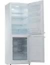 Холодильник Snaige RF31SM-S100210 фото 4