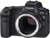 Фотоаппарат Canon EOS R10 Body + адаптер крепления EF-EOS R фото 3