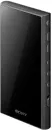 Hi-Fi плеер Sony NW-A306 (черный) фото 3