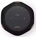 Беспроводная аудиосистема Sony SRS-RA3000 (черный) фото 3