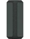 Беспроводная колонка Sony SRS-XE300 (черный) фото 3