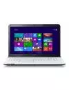 Ноутбук Sony VAIO SVE1713L1RW icon