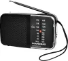 Радиоприемник Soundmax SM-RD2101 icon