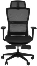 Компьютерное кресло SPARX Luster Black icon 3