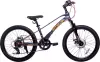 Велосипед Stels Leader 220 MD 22 (серый) icon