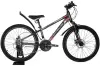 Велосипед Stels Navigator 400 MD 24 F010 2023 (серый/красный) icon