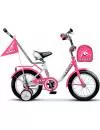 Велосипед детский Stels Pilot 110 12 (2017) icon 2