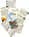 Настольная игра Стиль Жизни Повороты судьбы. Робинзон фото 8