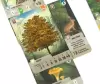 Настольная игра Стиль Жизни Смешанный лес УТ100031066 icon 10