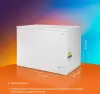 Морозильник SunWind SCH301WT фото 4