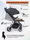 Детская прогулочная коляска Sweet Baby SBL Aura Plus Basic (серый) icon 12