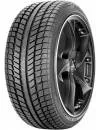 Зимняя шина Syron Everest 1 Plus 215/60R16 99H icon