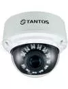 IP-камера Tantos TSi-DV451V (3-12) icon