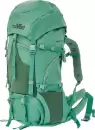 Туристический рюкзак Tanvolt Impulse_65L_Forest icon