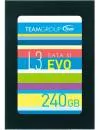 Жесткий диск SSD Team L3 EVO (T253LE240GTC101) 240Gb icon