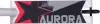 Трюковый самокат Tech Team Aurora 2025 (серый) icon 5
