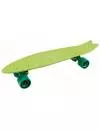 Пенни борд Tech Team Fishboard 23 TLS-406 light green icon