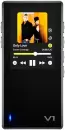 Hi-Fi плеер TempoTecVariations V1 icon