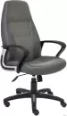 Офисное кресло TetChair Inter (искусственная кожа, флок, ткань, серый/металлик) icon