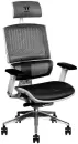 Офисное кресло Thermaltake CyberChair E500 GGC-EG5-BWLFDM-01 (серый) icon