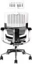 Офисное кресло Thermaltake CyberChair E500 GGC-EG5-BWLFDM-01 (серый) icon 4