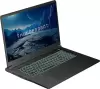 Игровой ноутбук Thunderobot Range 17 G2A Evo JT009U00QRU фото 11