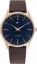 Наручные часы Tommy Hilfiger 1710466 icon