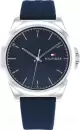 Наручные часы Tommy Hilfiger 1710616 icon