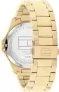 Наручные часы Tommy Hilfiger 1710679 icon 2