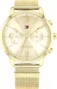 Наручные часы Tommy Hilfiger 1782302 icon