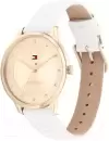Наручные часы Tommy Hilfiger 1782543 icon 2