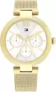 Наручные часы Tommy Hilfiger 1782694 icon