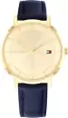 Наручные часы Tommy Hilfiger 1782733 icon