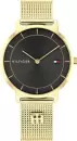 Наручные часы Tommy Hilfiger 1782739 icon