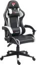 Кресло геймерское TopChairs Shadow GF-8079 (черный/белый) icon