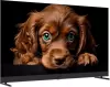 Телевизор Topdevice 50&#34; QLED DQ08 icon 2
