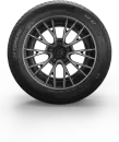 Летняя шина Torero MP47 175/70R13 82T фото 3