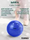 Мяч для художественной гимнастики Torres AGP-15-06 небесный/блестки icon 4