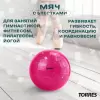 Мяч для художественной гимнастики Torres AGP-19-08 малиновый/блестки icon 4